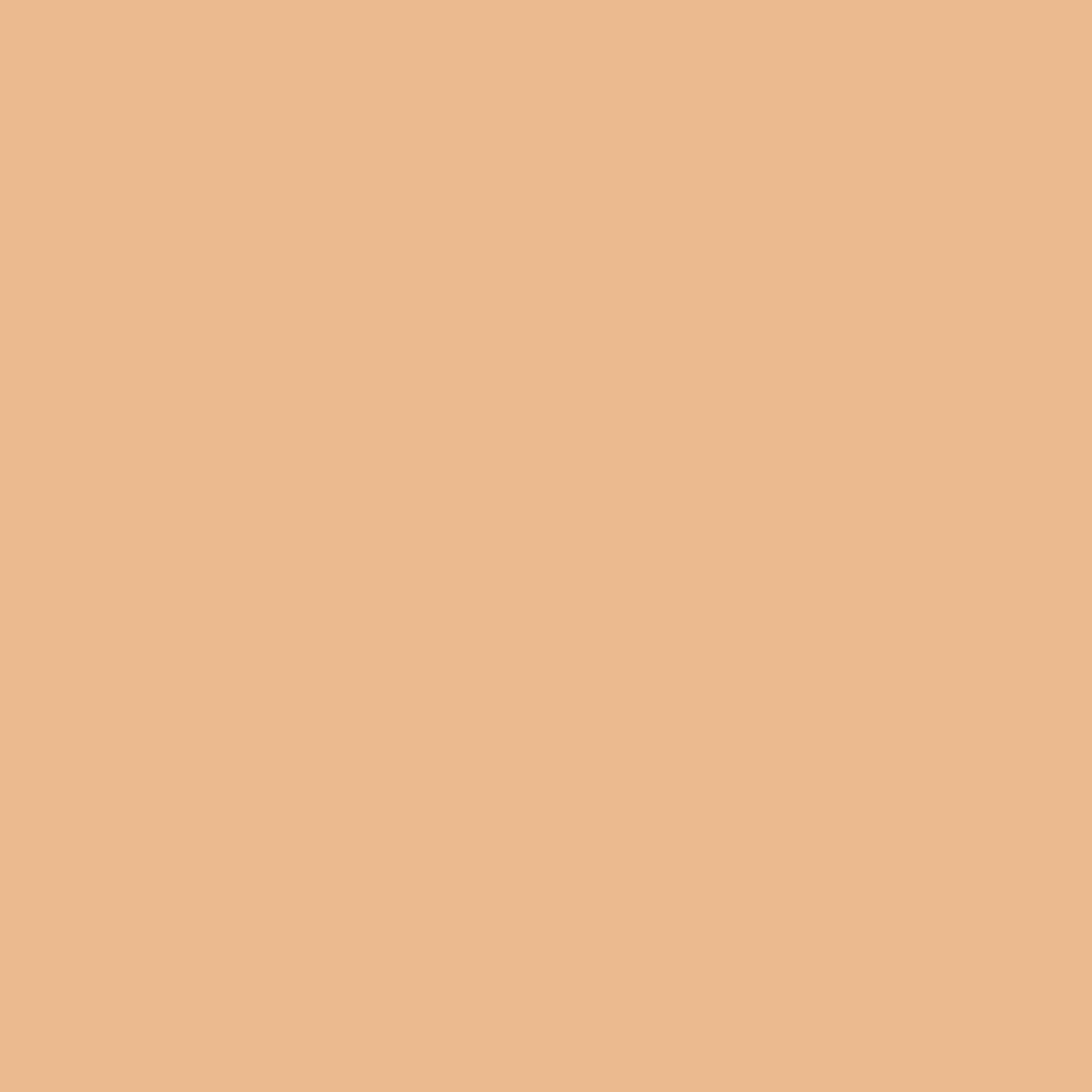 2.5N NEUTRAL / NEUTRE