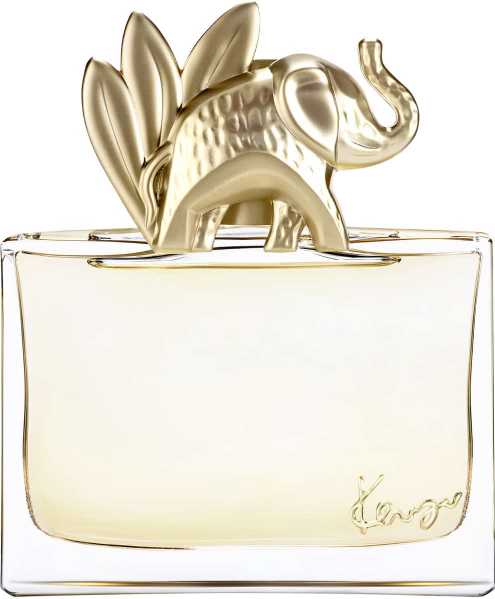 Vapo 100 ml