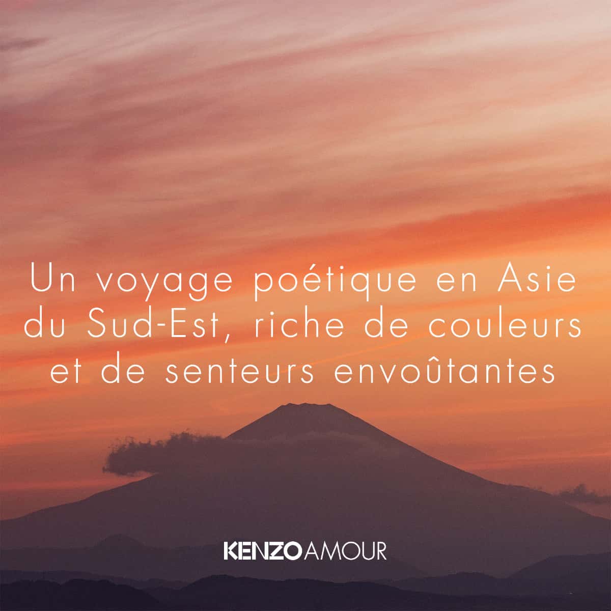 Vue 4