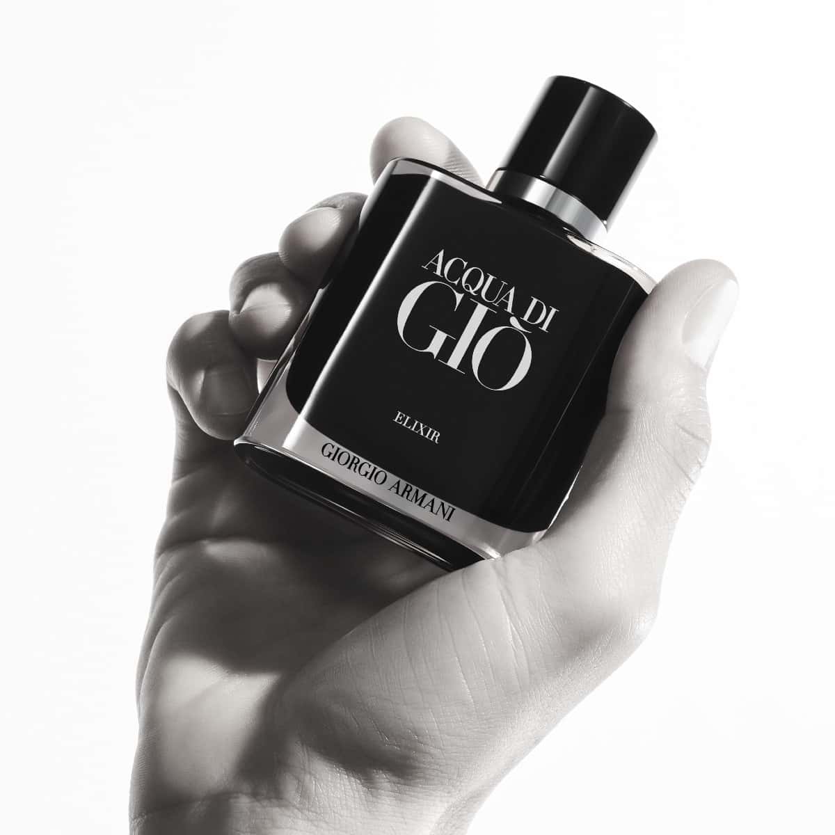 Vue 5