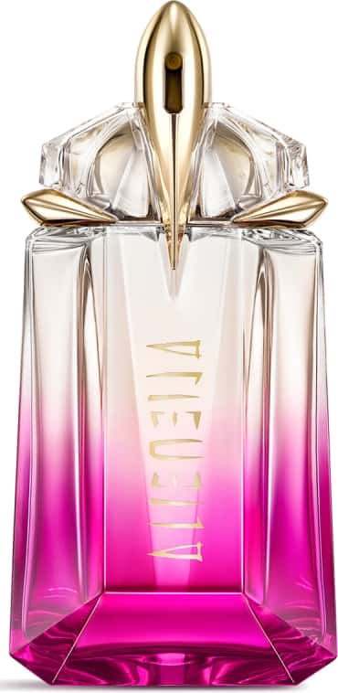 Vue 1