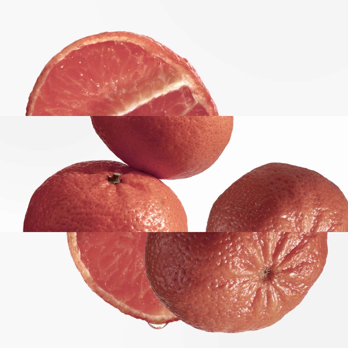 Vue 5