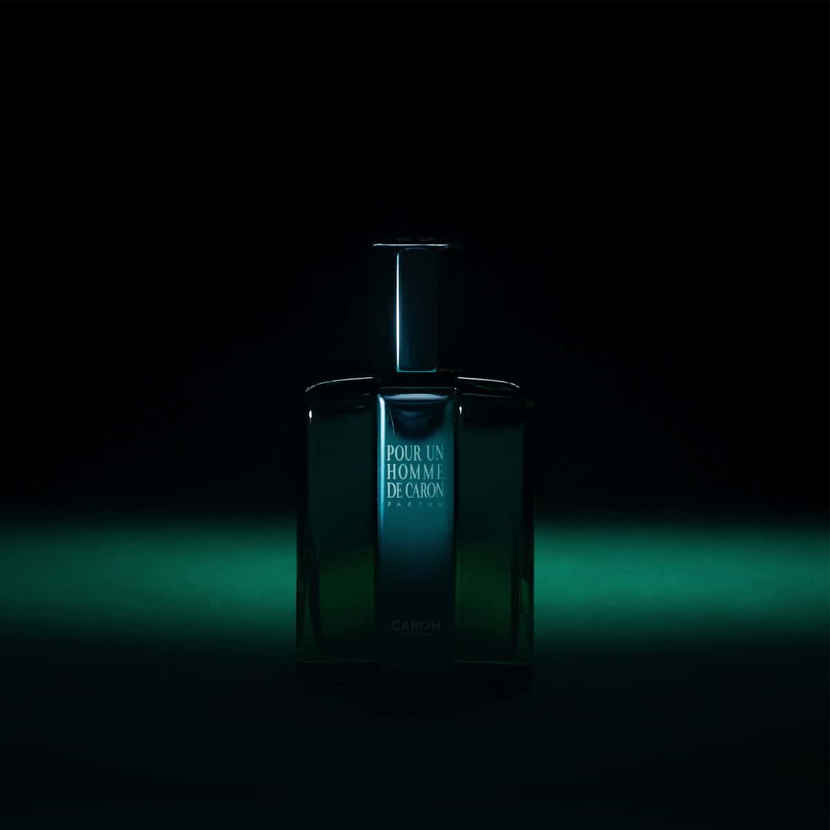 Vue 5