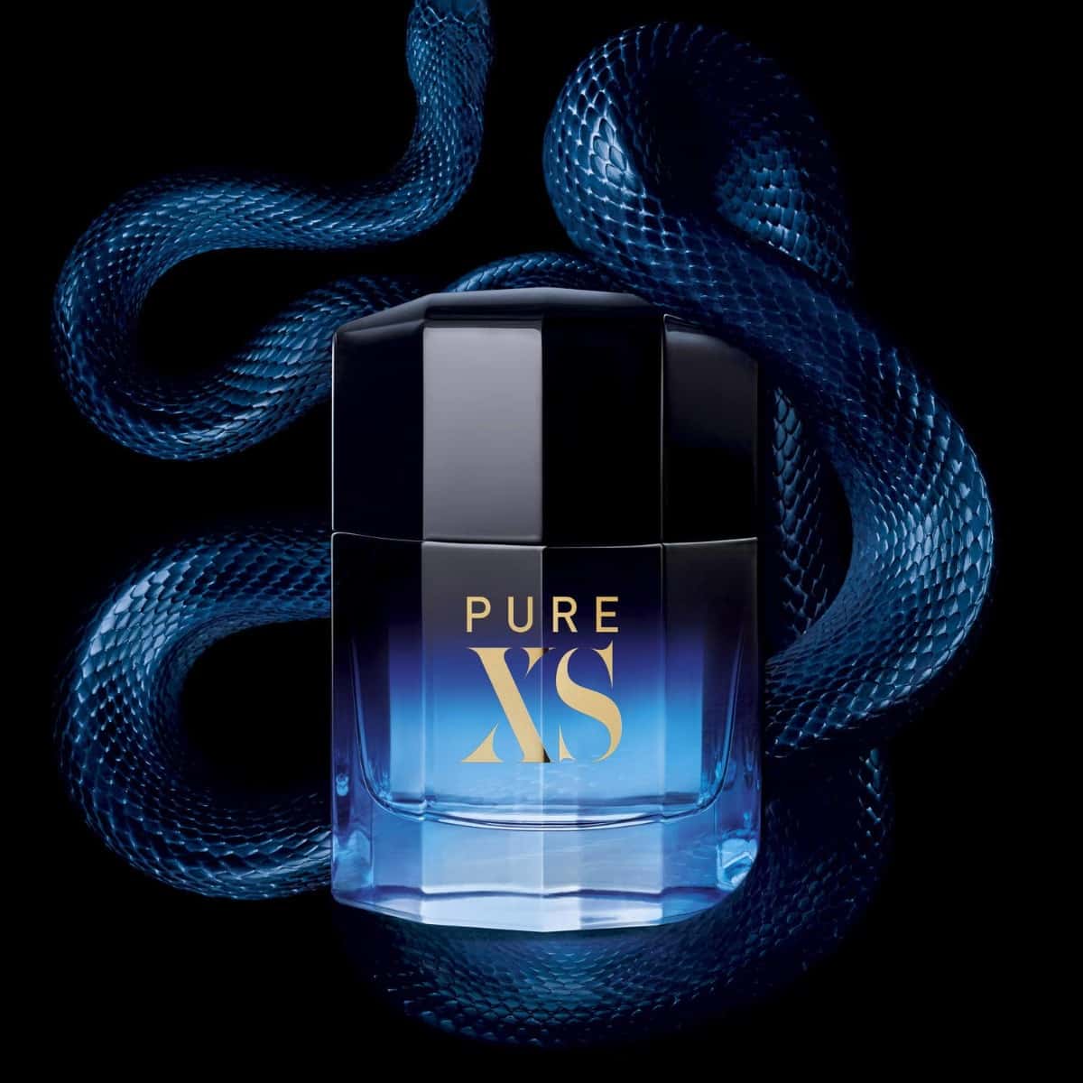 Vue 4