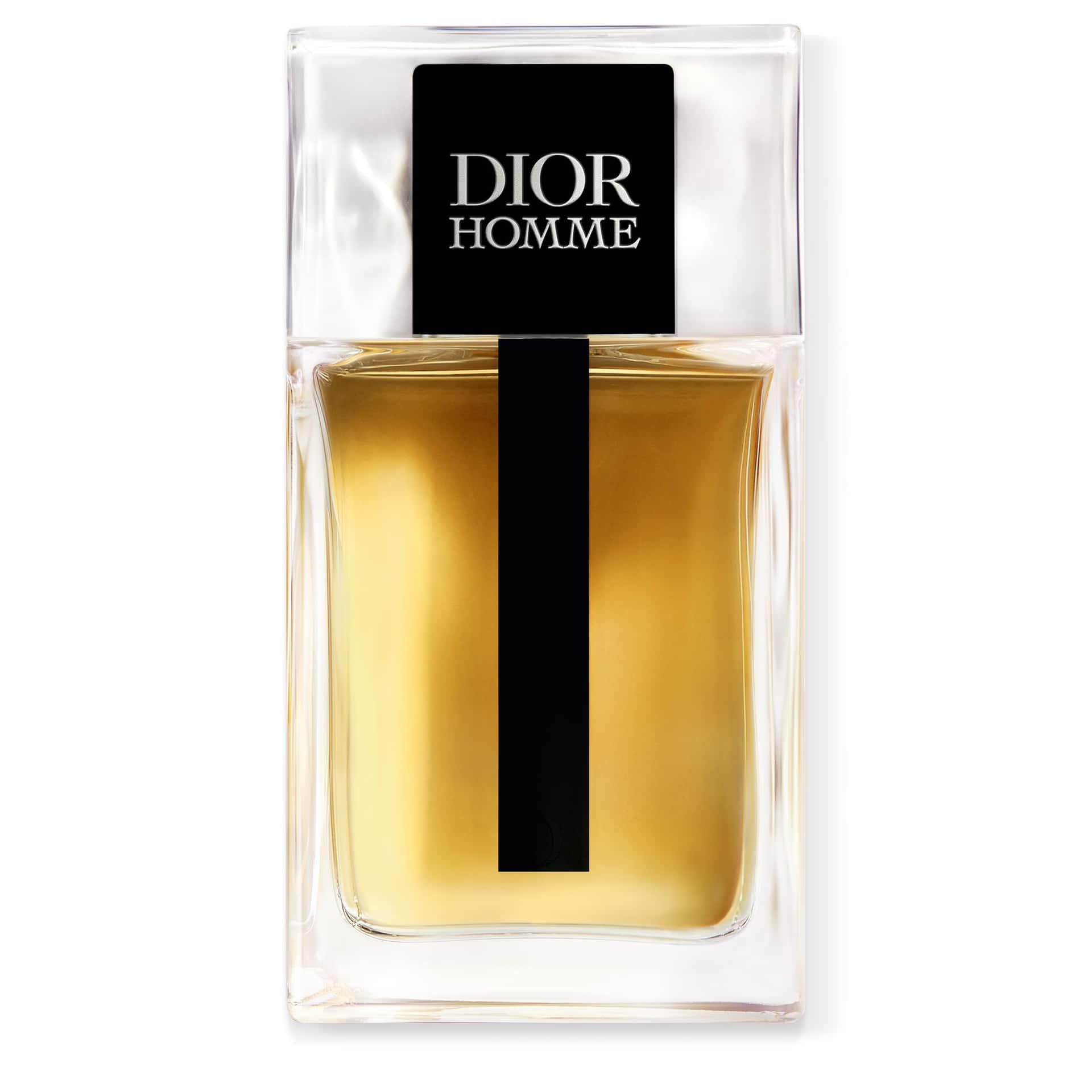 Dior Homme